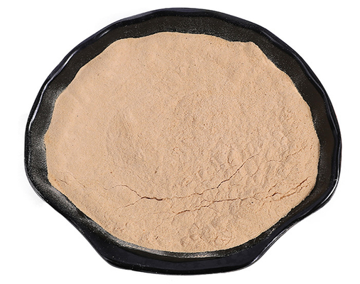 Willow Bark Extract Powder branca natural 80 Mesh For Dietary Supplement