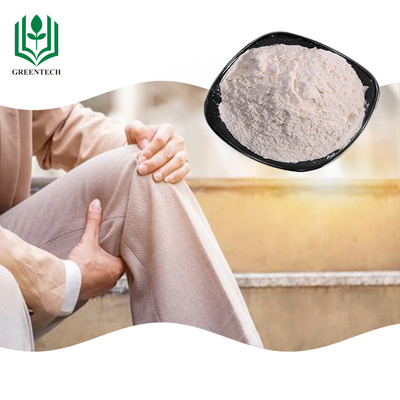 Suplemento ao sulfato do Chondroitin da cartilagem do tubarão fora do pó branco para a psoríase